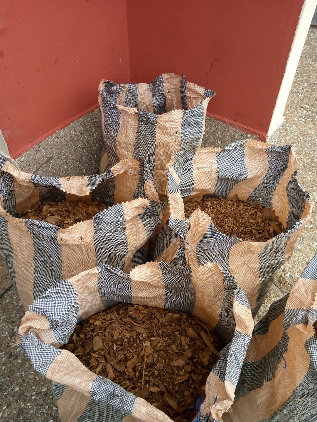 Voacanga Root Bark in Bulk