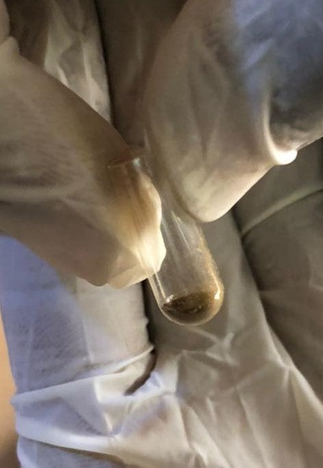 The perfect micro dosing Caps Iboga powder plus TA