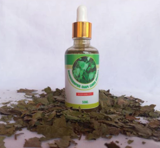 Banisteriopsis Caapi Leaves Essence