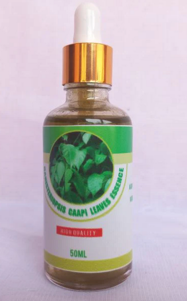 Banisteriopsis Caapi Leaves Essence