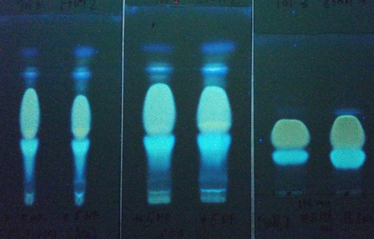 Iboga PTA (Purified Total Alkaloid)