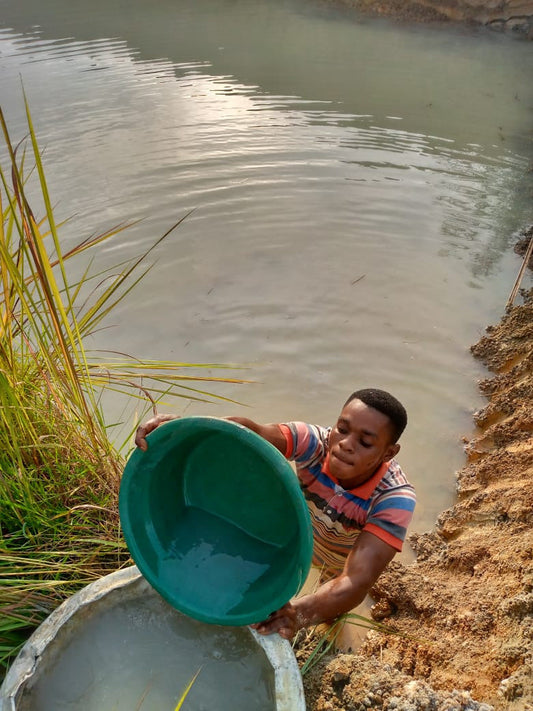 The Connection Between Fishponds and Iboga Irrigation
