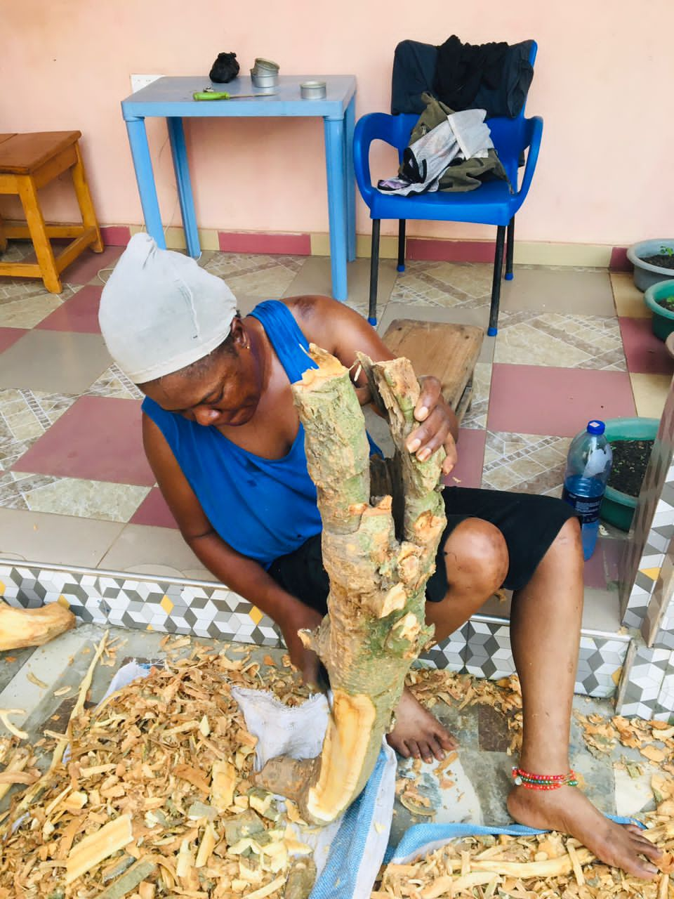 Voacanga Root Bark in Bulk