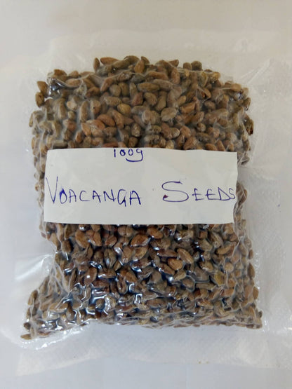 Voacanga Africana Seeds