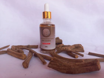 50mL Banisteriopsis Caapi Vine Essence