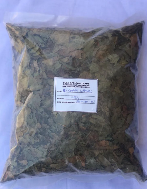 Banisteriopsis Caapi Leafs 1000g